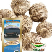 БЕЛАЯ КЛУБНИКА